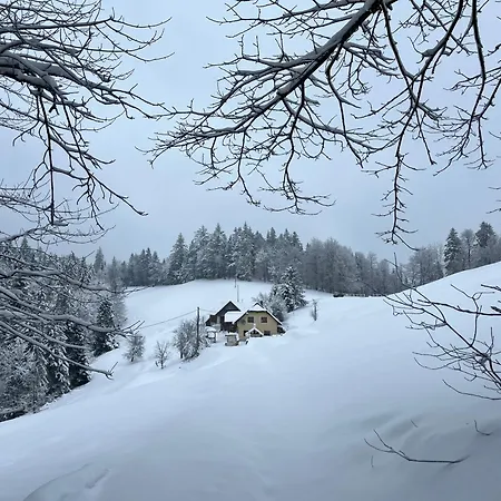 The Little Fern Lejlighed *