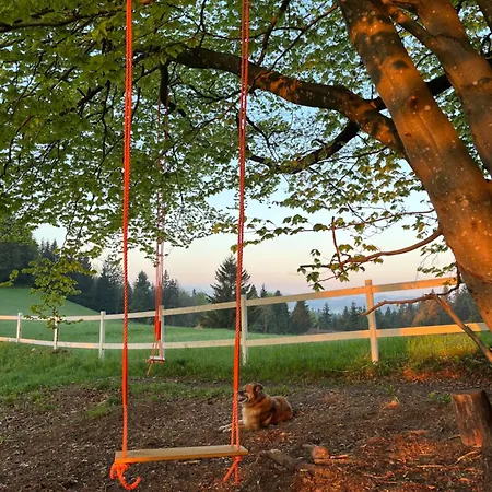 The Little Fern Appartamento Rovte