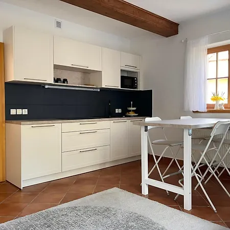 The Little Fern * Rovte