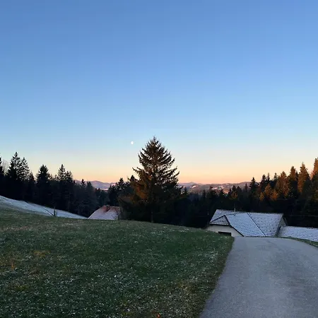 The Little Fern Апартаменты Rovte