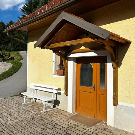 The Little Fern Rovte