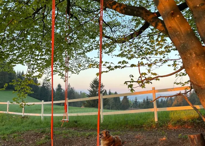 The Little Fern Daire Rovte