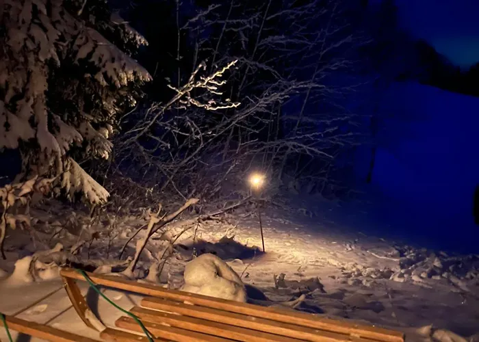 Daire The Little Fern Rovte