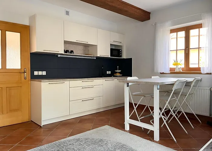 The Little Fern * Rovte