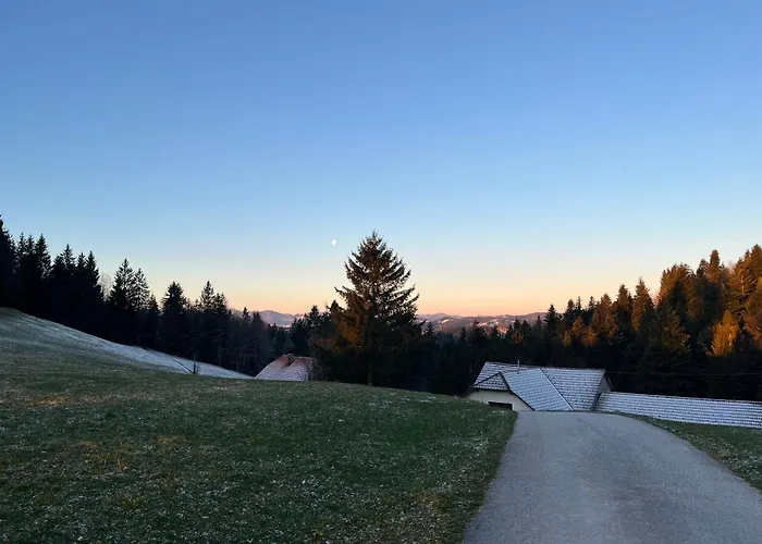 The Little Fern Daire Rovte