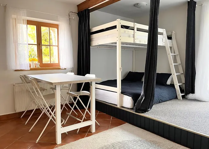 Daire The Little Fern *