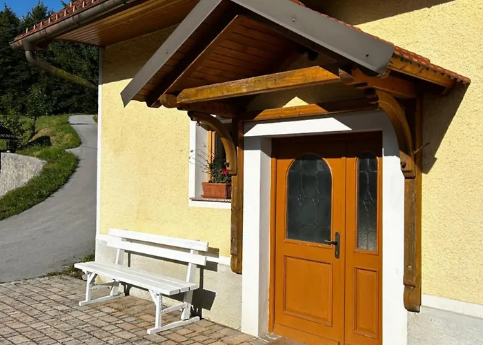 The Little Fern Rovte